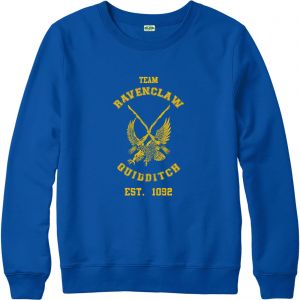 Stan - חנות ה-Merchandise למעריצים מכל הסוגים הארי פוטר Harry Potter Jumper, Quidditch TEAM RAVENCLAW Jumper, Inspired Design Top
